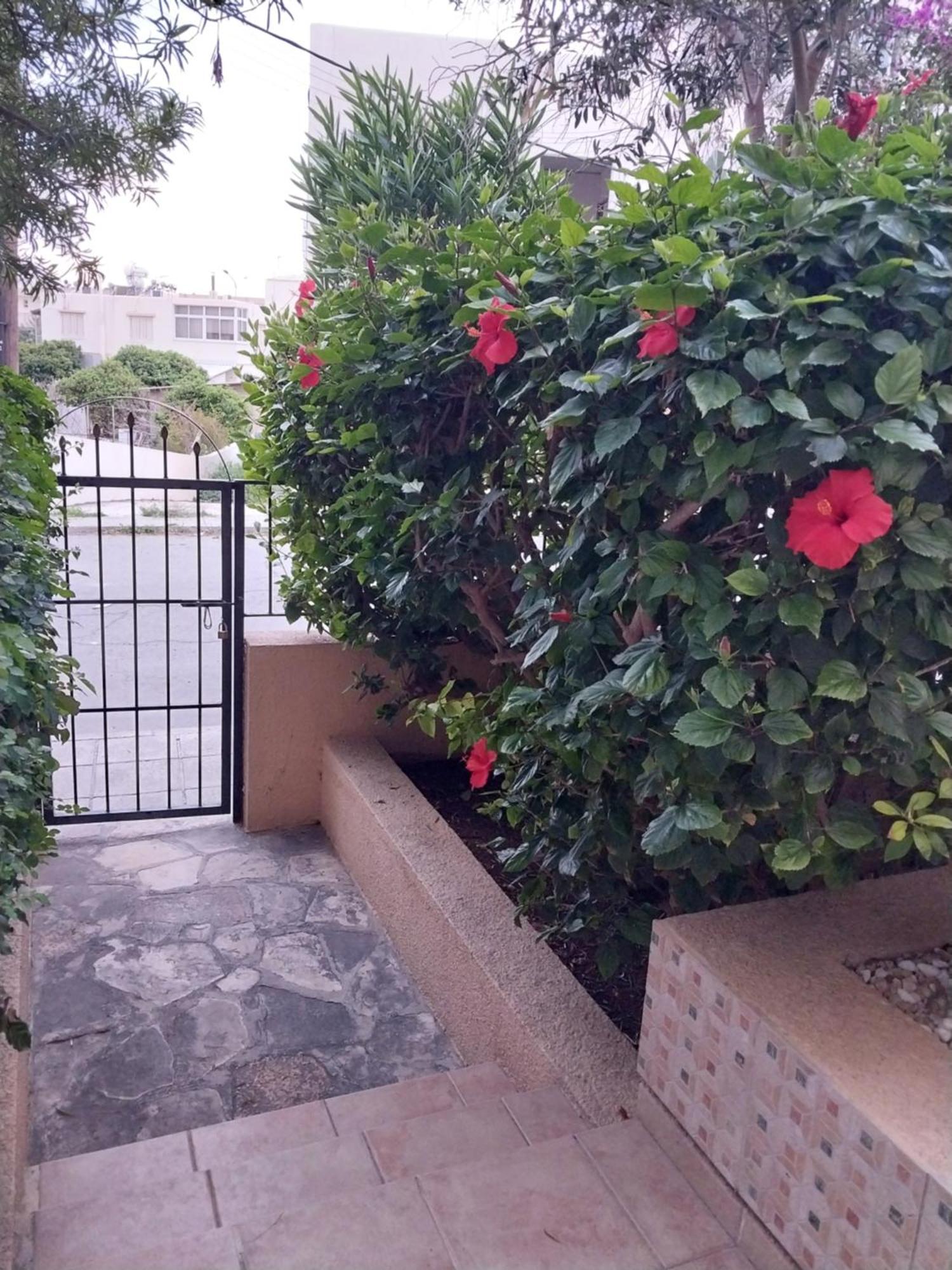 Kings Apartment With Private Garden Paphos Exterior photo