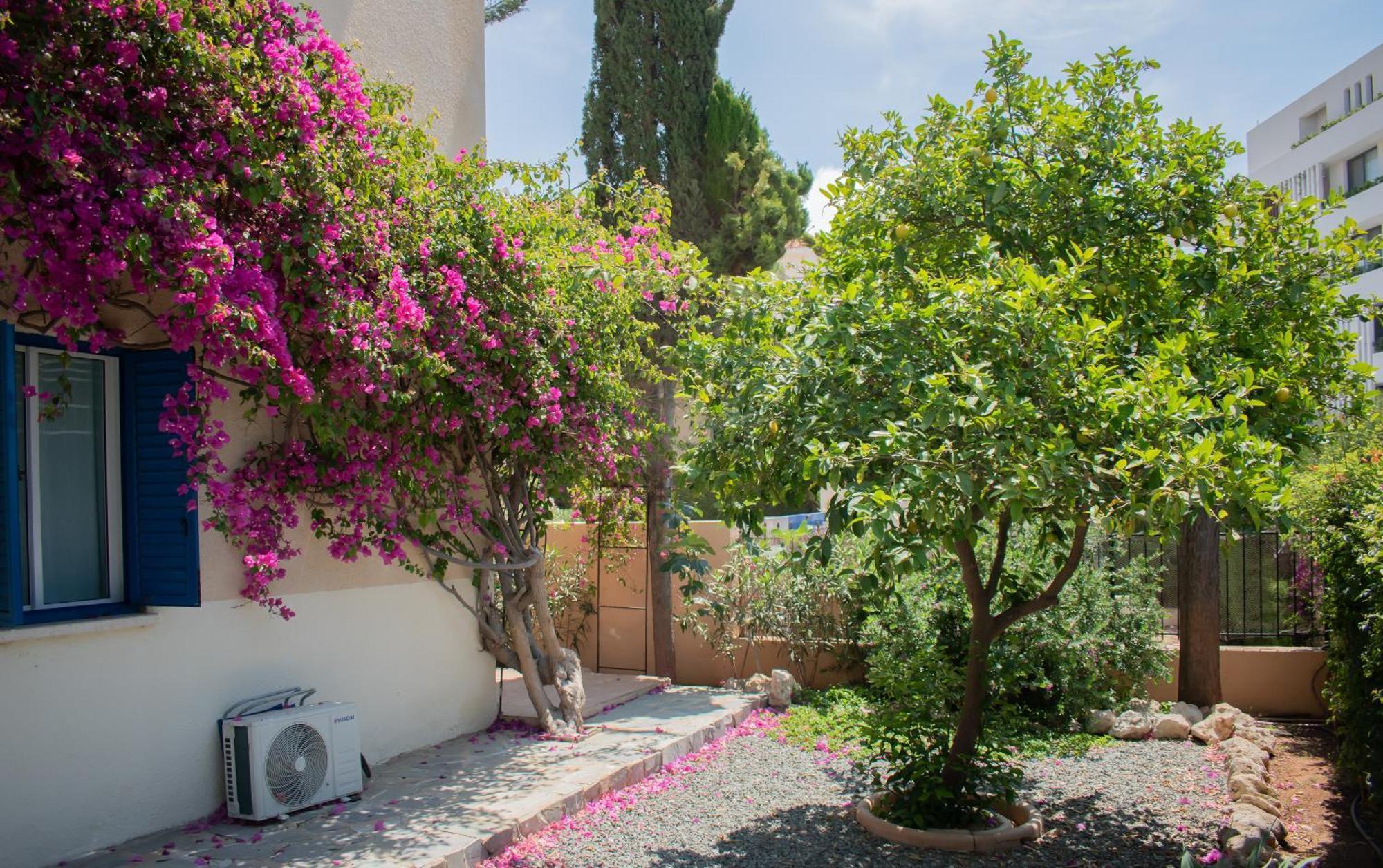 Kings Apartment With Private Garden Paphos Exterior photo