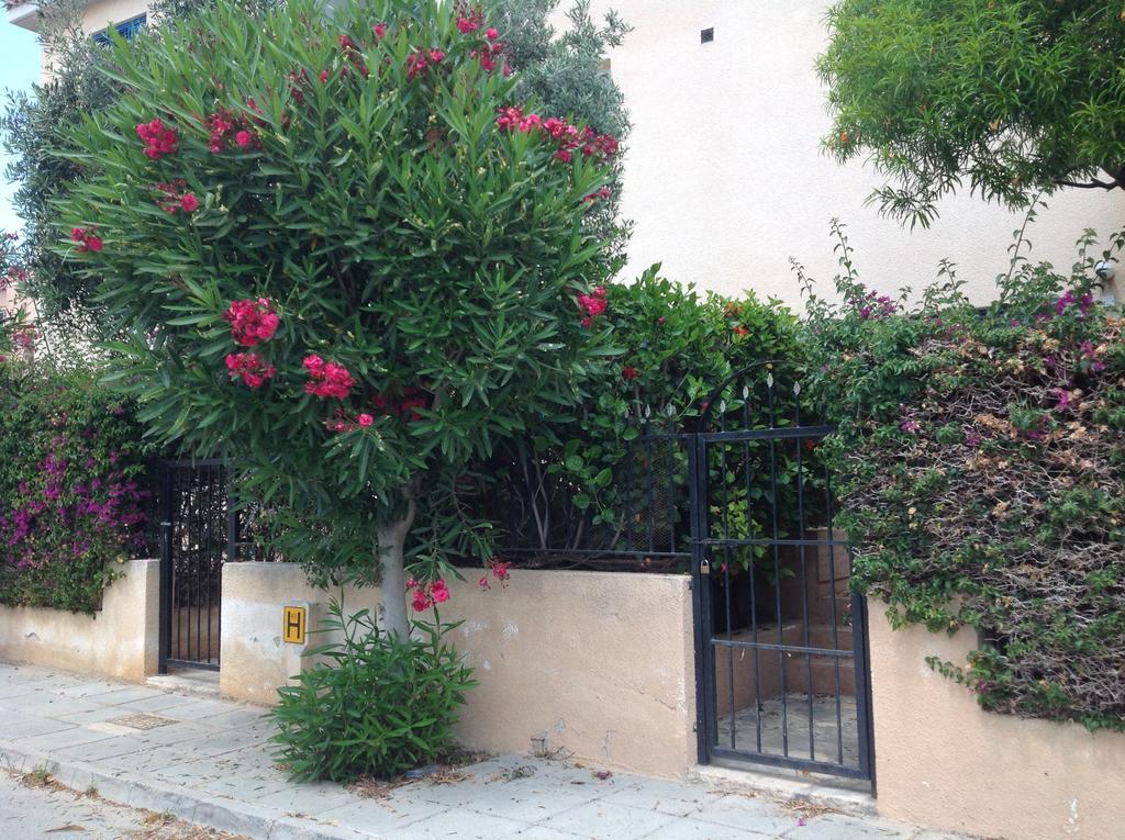 Kings Apartment With Private Garden Paphos Exterior photo